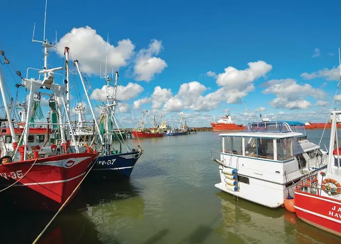 펜션 Three-bedroom In *